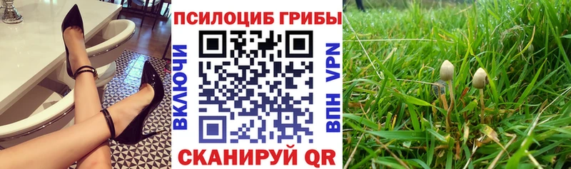 кракен онион  магазин продажи   Барнаул  Псилоцибиновые грибы Magic Shrooms 