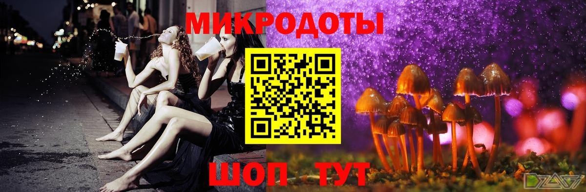 Псилоцибиновые грибы мицелий Барнаул