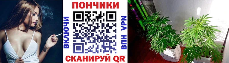 МАРИХУАНА конопля  KRAKEN   Барнаул 